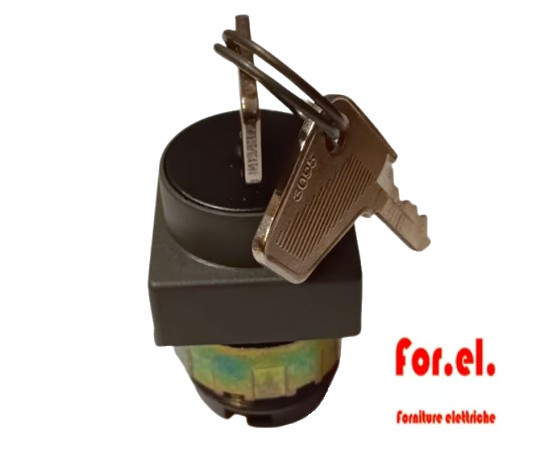 Cema System 080 Key Switch 2 Position