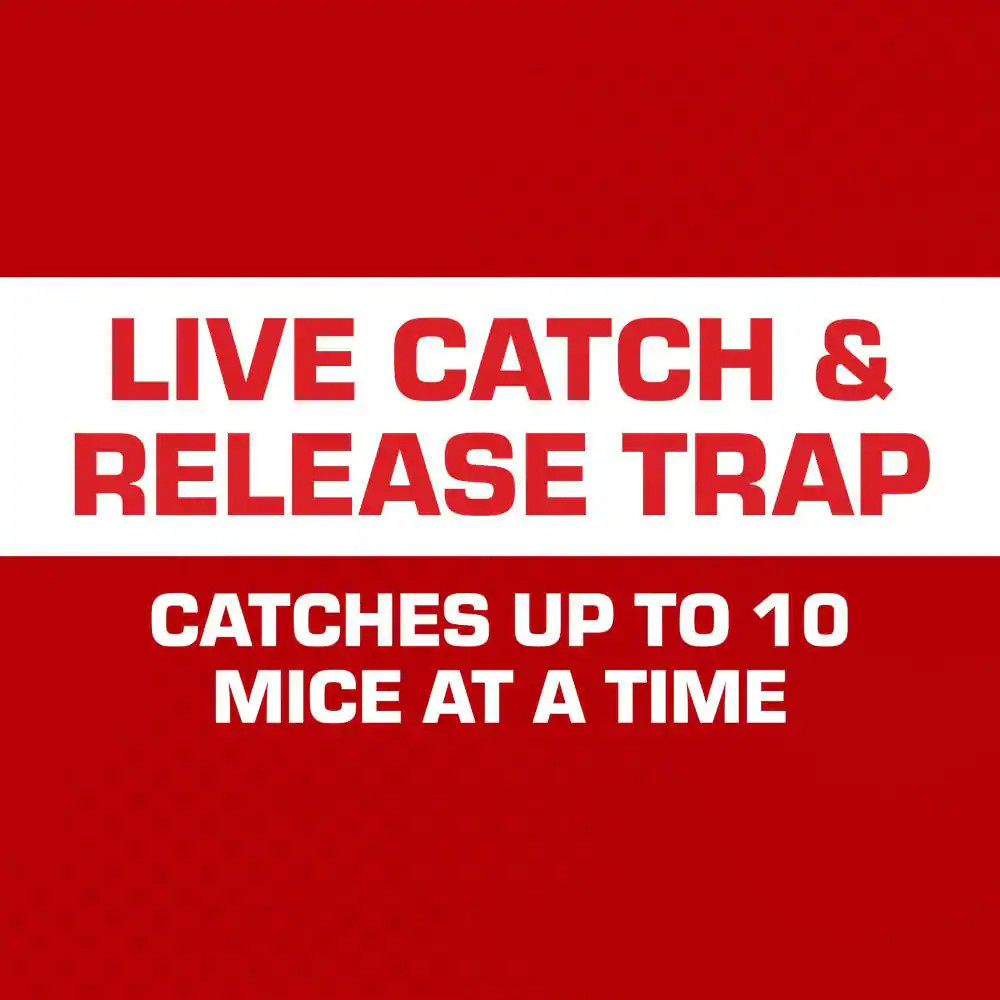 Multi-Catch Mouse Trap