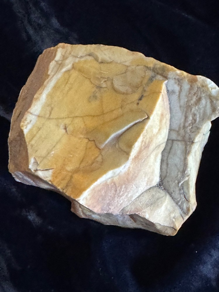 Petrified Wood