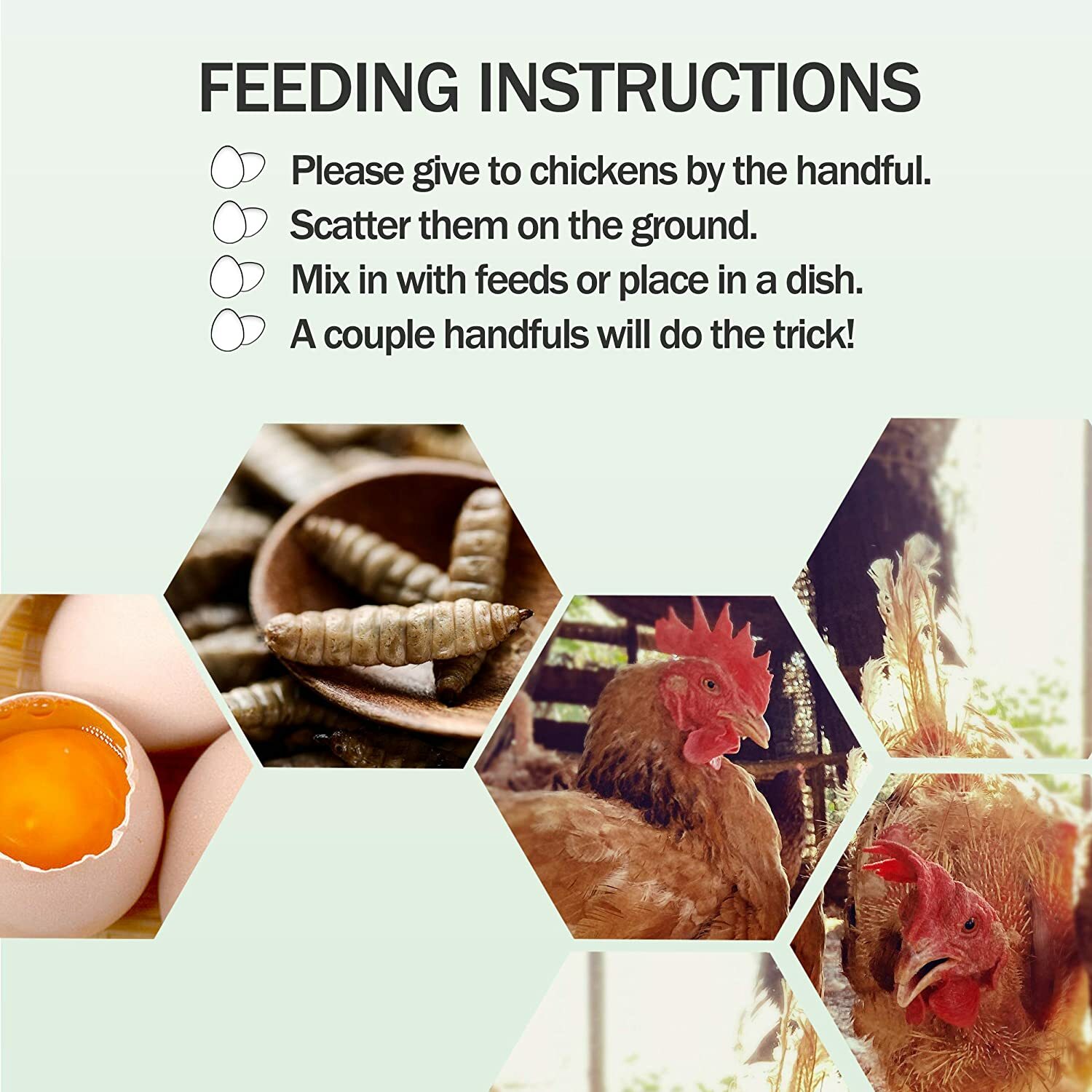 22 LBS Dried Black Soldier Fly Larva High Calcium Treats for Chickens Birds