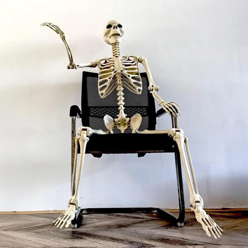 Halloween Realistic Body Bones Life Size Human Skeleton with Posable Joints