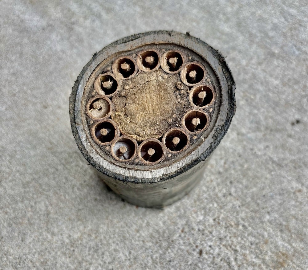 Cross Cut from Cable w multi core Insulated Copper Lines