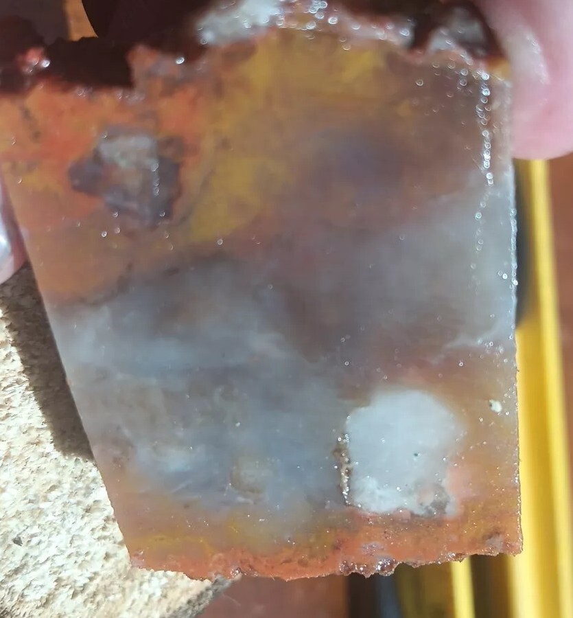 Volcanic Petrified Wood Limb Casting End Cut From Cube Utah See Cube