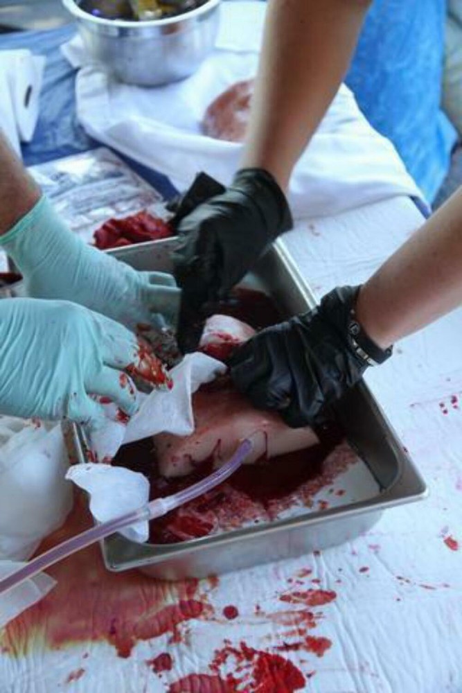 Rescue Essentials Bleeding Control Instructors Kit