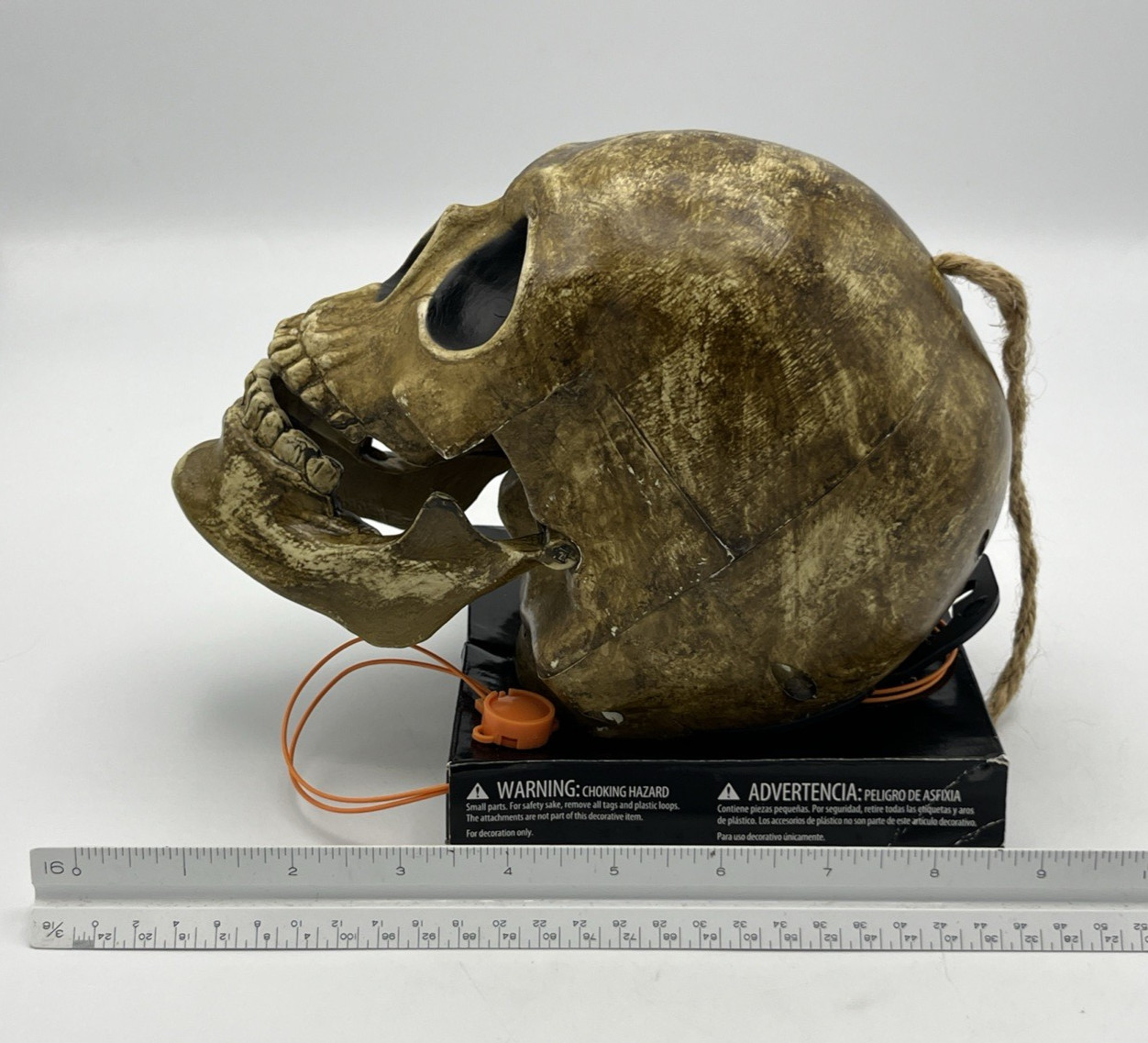 Skull Talking Mechanical Tested Works