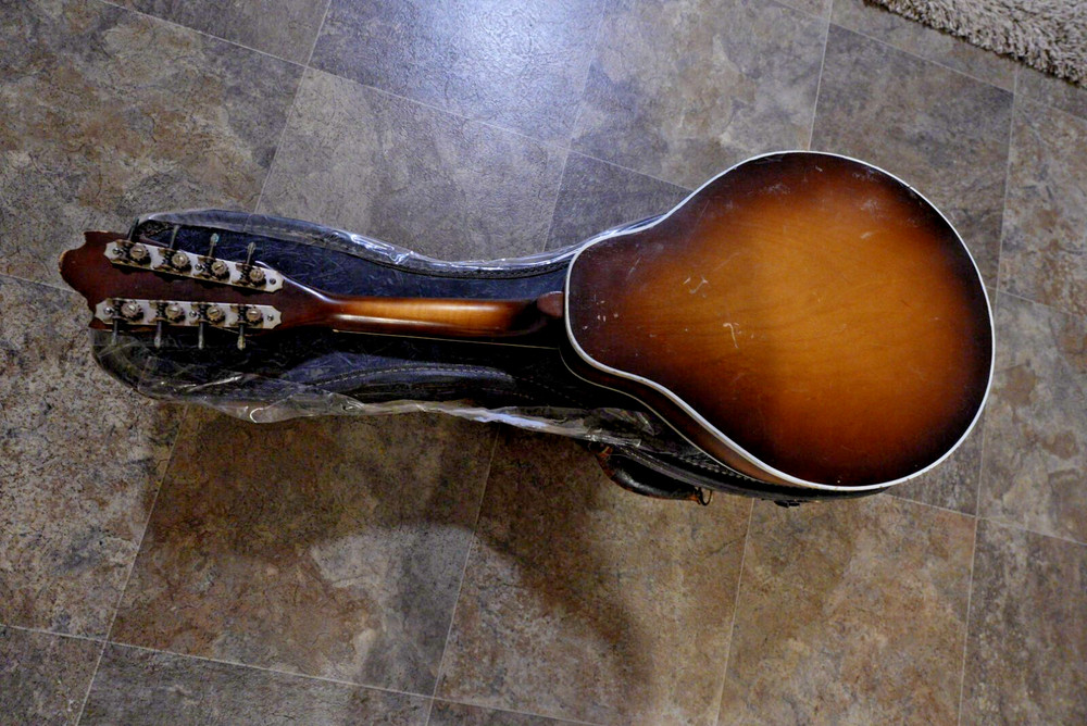 Vintage Silvertone Mandolin -