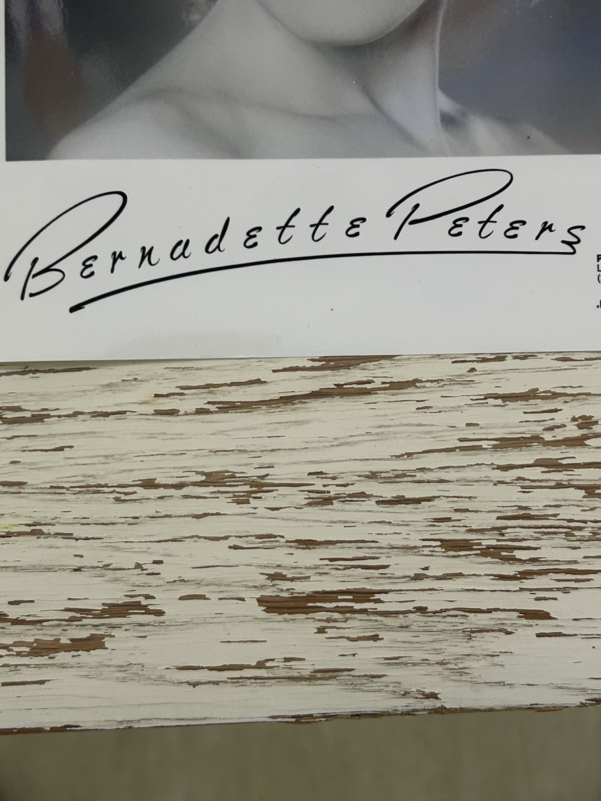 BERNADETTE PETERS Publicity Promo Photo 8x10 MCA RECORDS