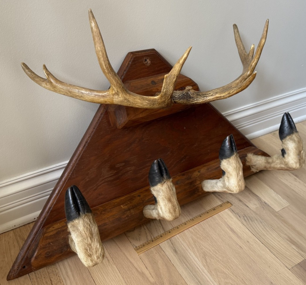 Vintage Taxidermy Deer Antler Hoof Coat Rack Hat Rack Man Cave Bar