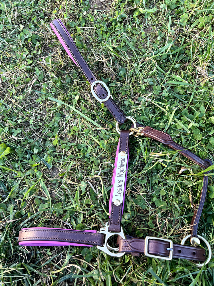 Leaders 3/4" Leather Halter Pink Padded with Solid Brass Hardware