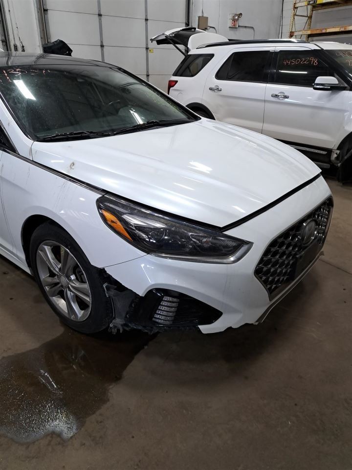 2018 Sonata Amplifier Sku#4428539