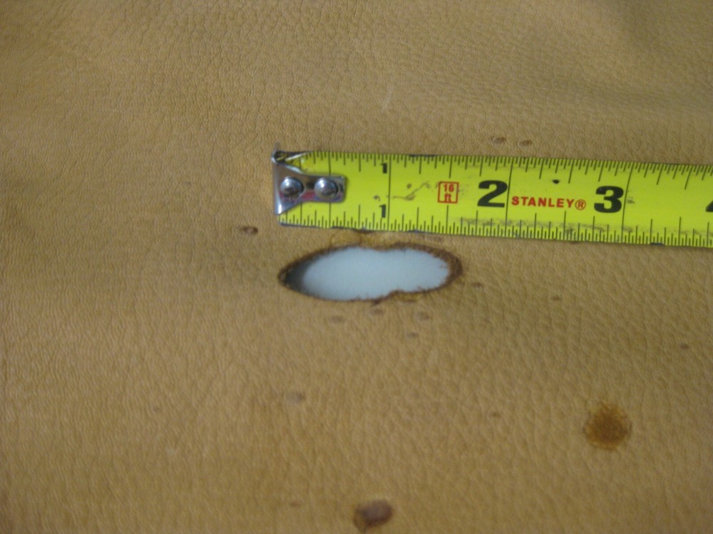 Top Grain Deer Leather # 0016340 Row RR