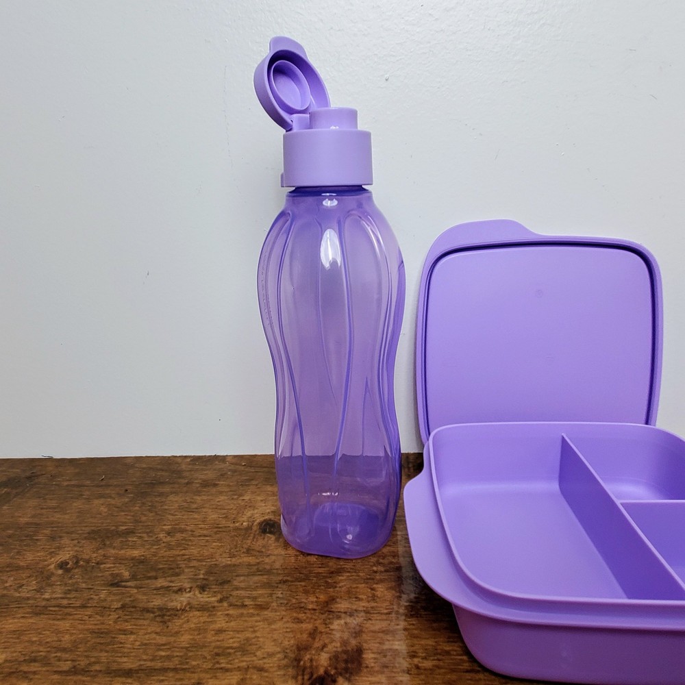 Eco-Friendly Tupperware Lunch Set Sandwich Box, Snack Container