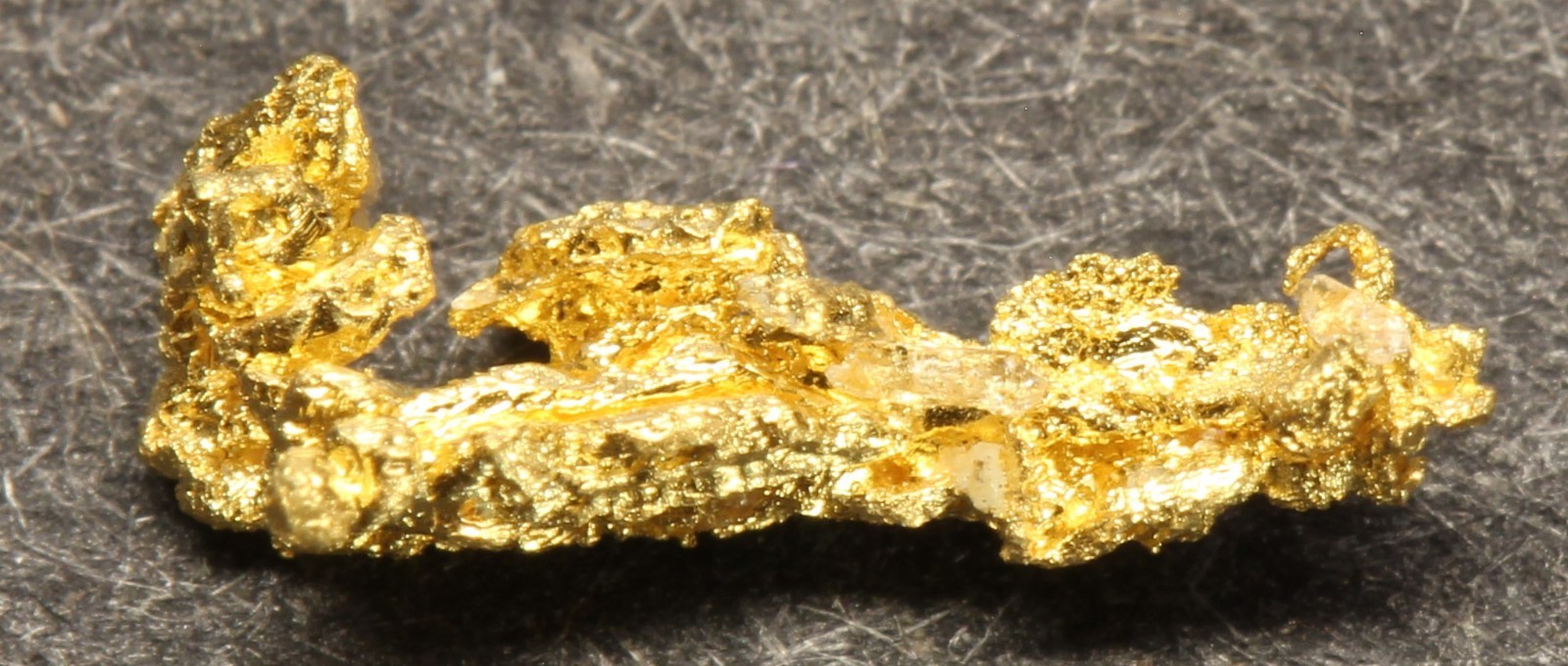 Gold nugget Small nugget in box 0.19 Gram Rose Creek Placer Pershing Co. NV