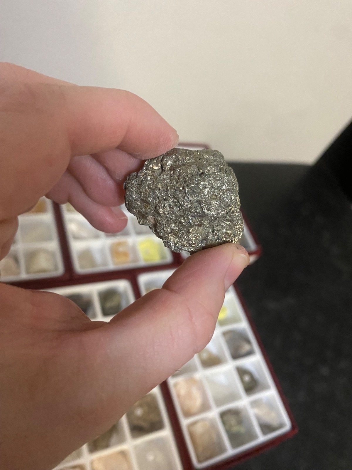 Scott Resources Fossil Rock Mineral Collection for Classroom Geology Educational