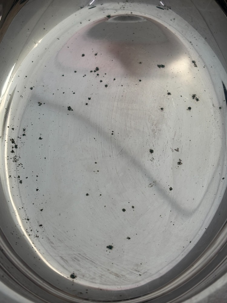 Castleton International Silver Co Vegetable Server with Lid 4812 Gadroon Border