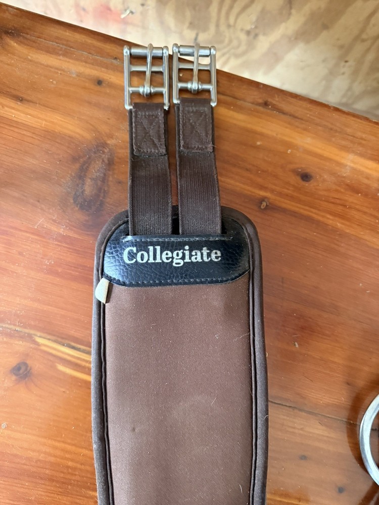 Collegiate 40” Memory Foam Girth