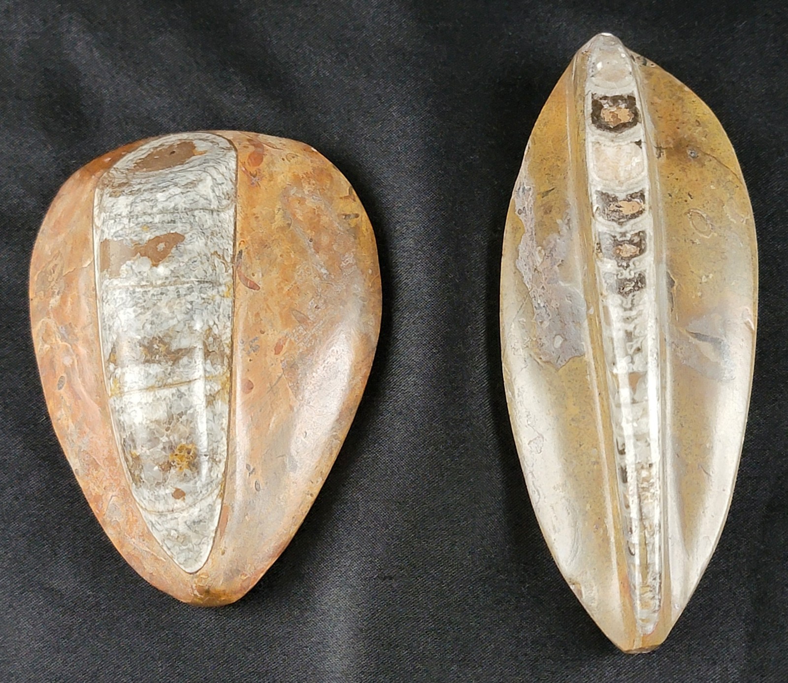 Vintage Ancient Orthoceras Squid Shell Fossil Morocco Approx 3.5" & 4.5" Lot of