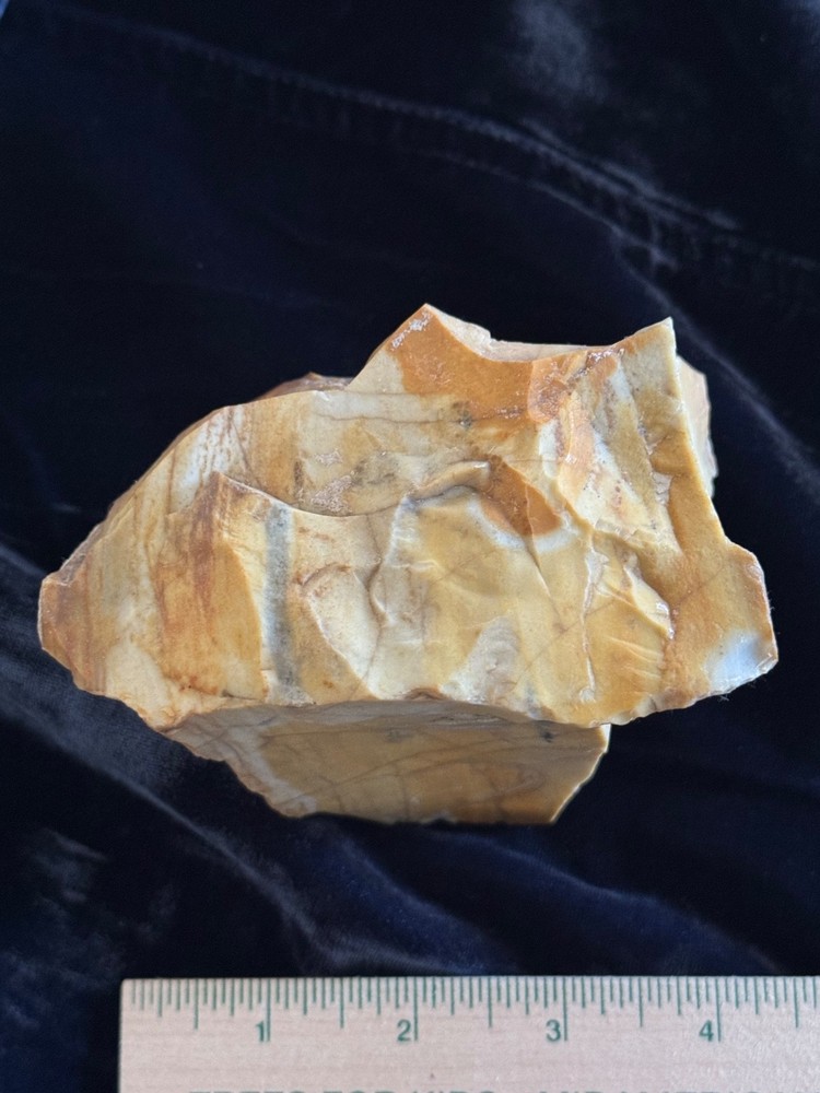Petrified Wood