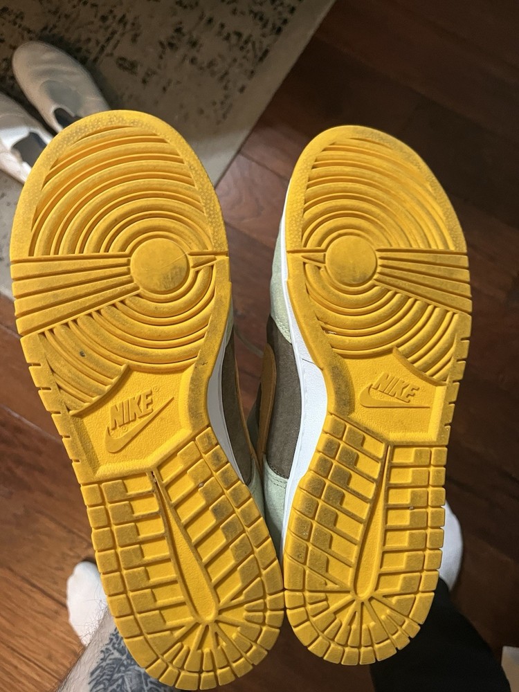 Nike Dunk SB Dusty Olive