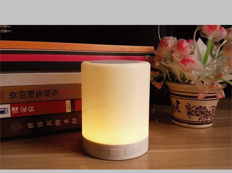 Mini Bluetooth Speaker and LED Lamp BL05