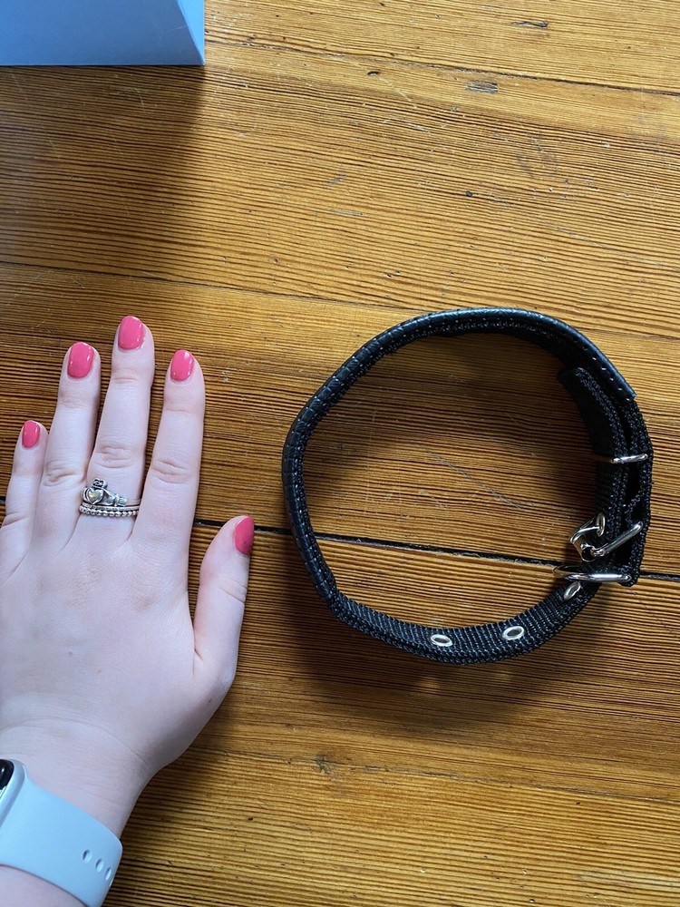 Fully Needed Pet Collar Tracker