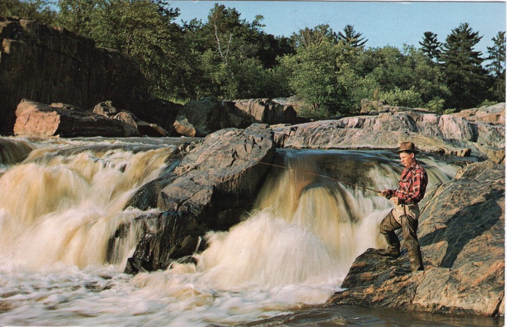 EXPECTING SOME ACTION - PC1429