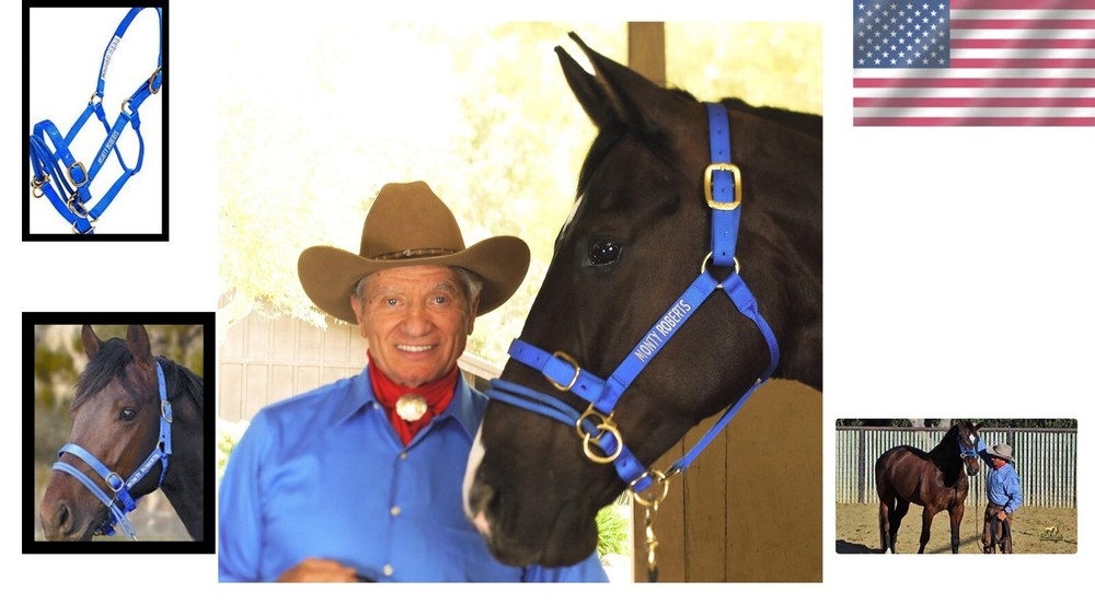 Durable Adjustable Dually Headcollar for Effective Horse Training - Large, Blue=
