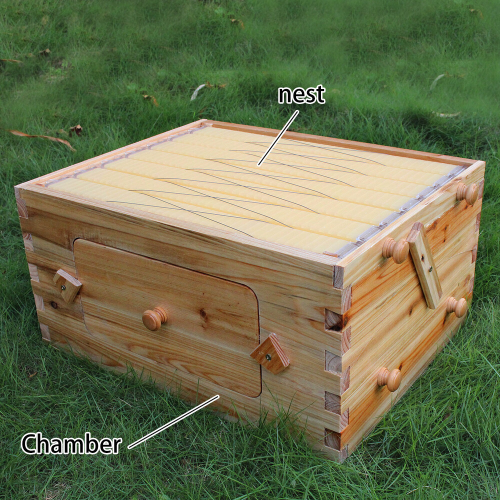Auto Seep Bee Hives Boxes Langstroth Bee Hive HOUSE + 7x Bee Beekeeping Frames
