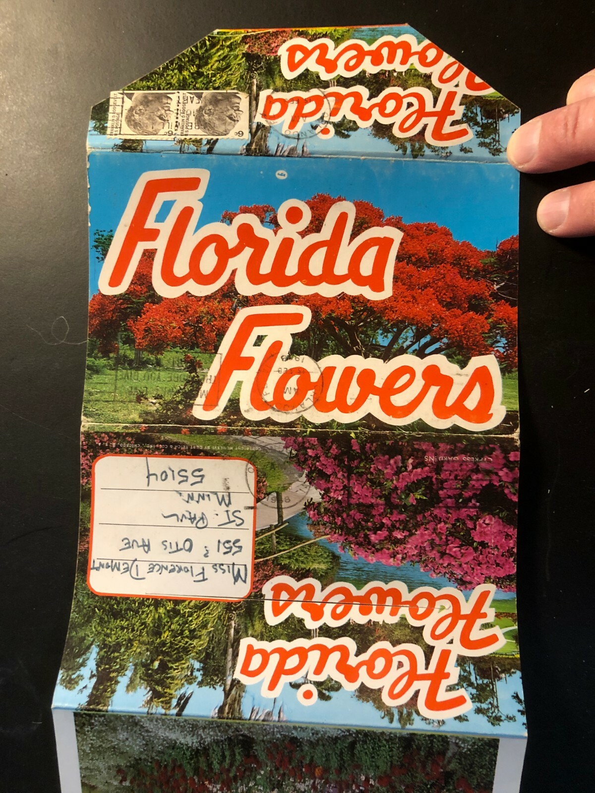 Old Vintage"FLORIDA FLOWERS" Fold Out Views Printed 1964 Made in USA