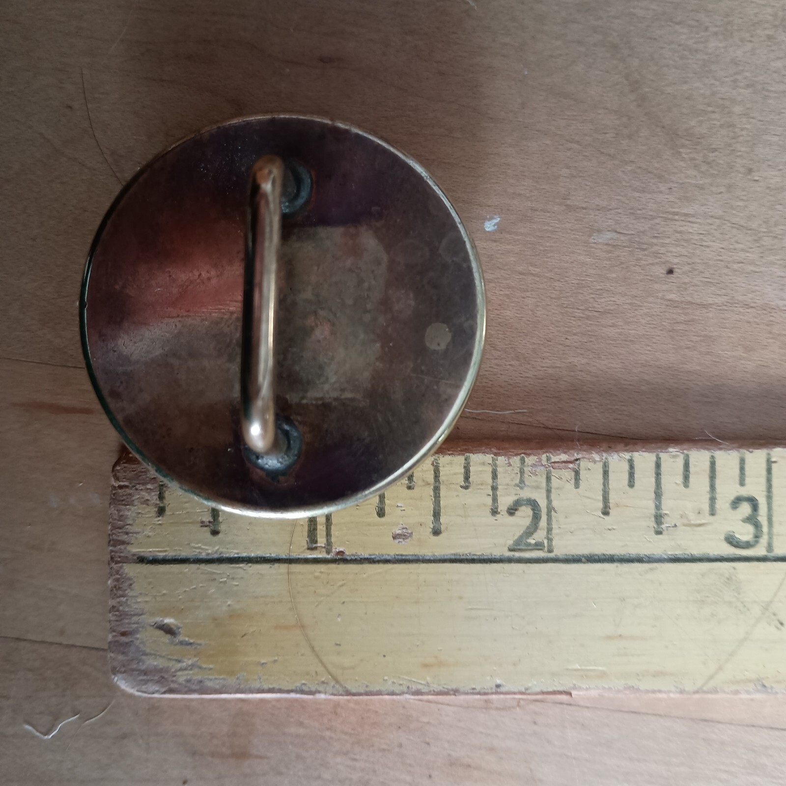 Bridle Loop Rosettes Haflinger for Headstall Harness Glass Dome and Brass