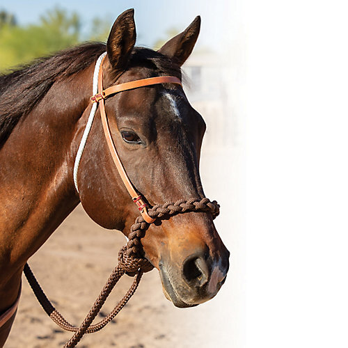 Professionals Choice Loping Hackamore