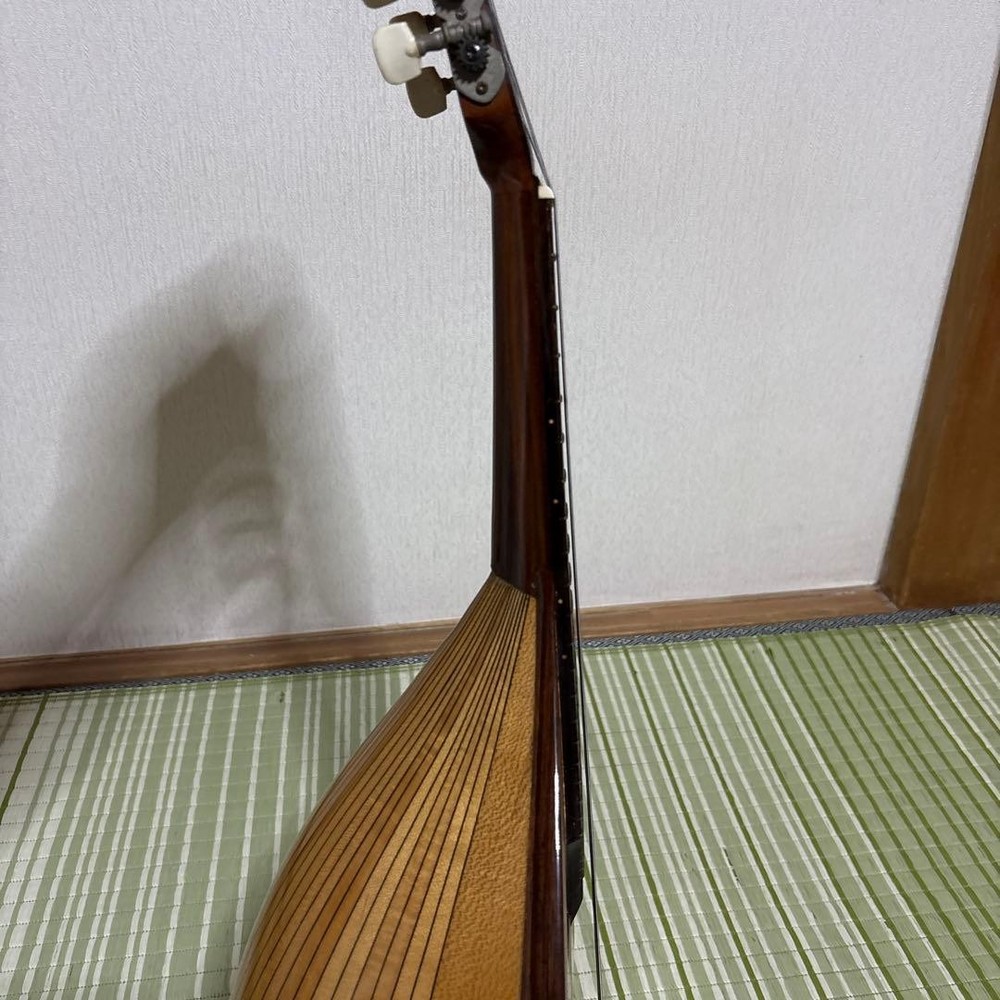 Raffaele Terada Musical Instruments High End Mandolin RM-3 String Guitar