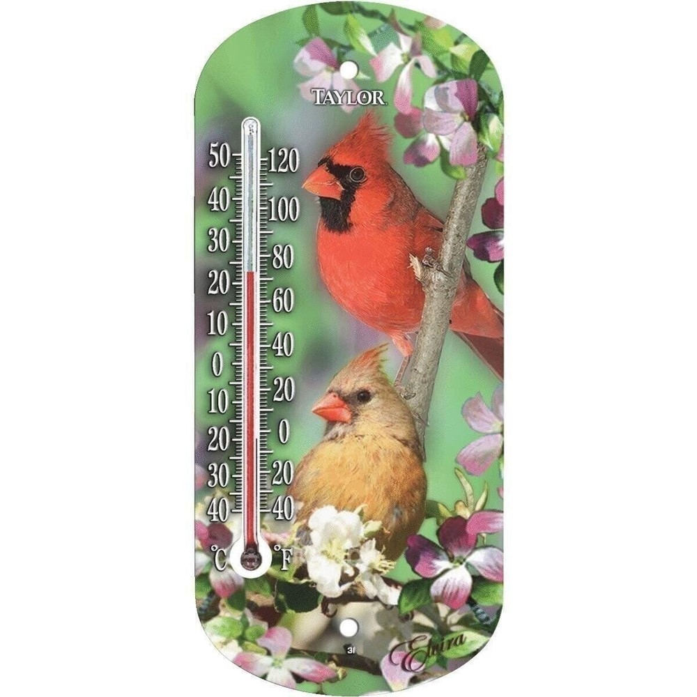 Taylor 8" Outdoor Thermometer