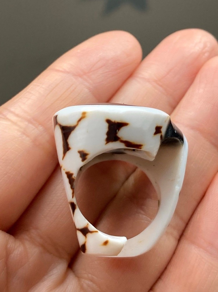 Pretty black white abalone center shell ring size 5.25