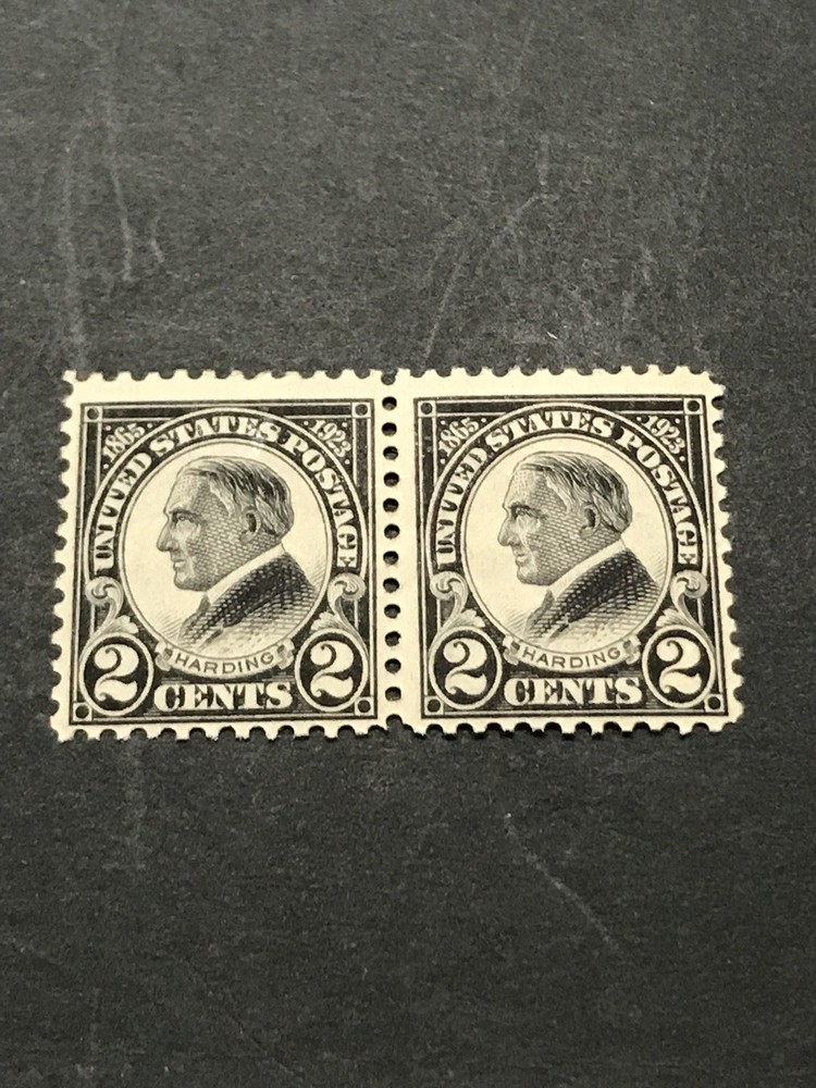 Scott# 610 Harding Horizontal Pair 1923 MVLHOG