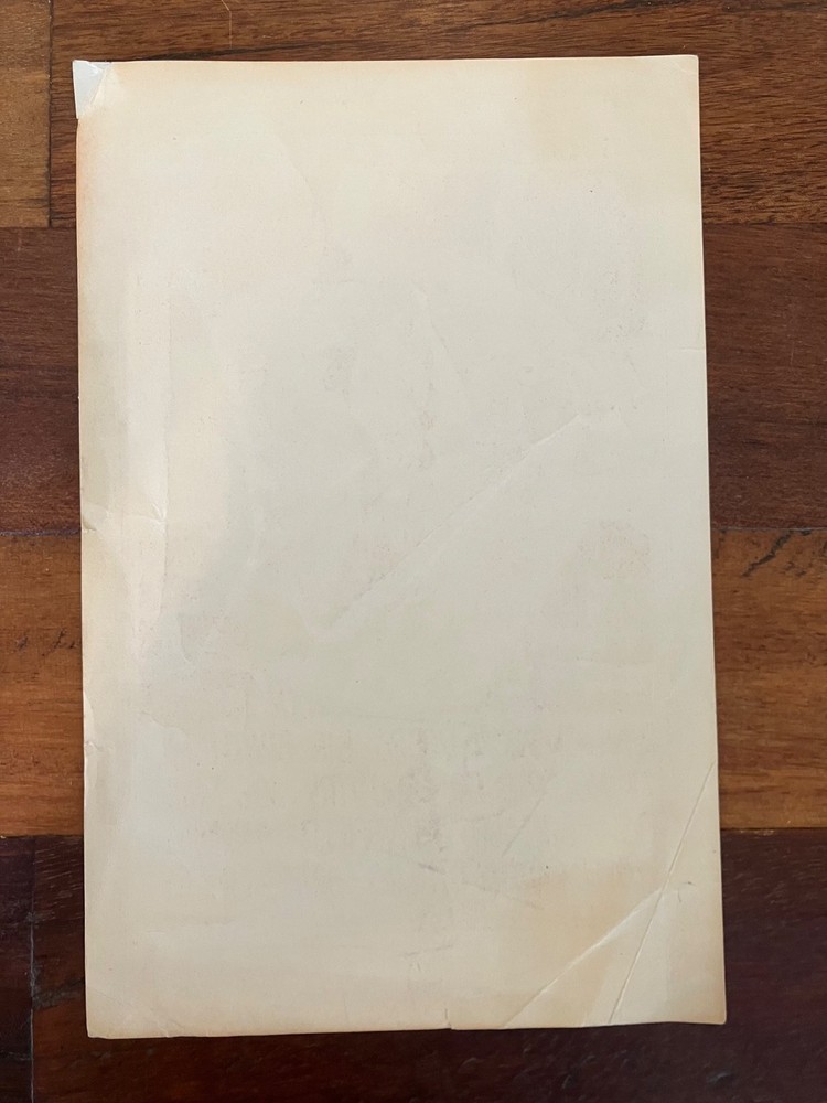 N. California Folk Rock Festival Handbill May 1968 Big Brother Country Joe Doors