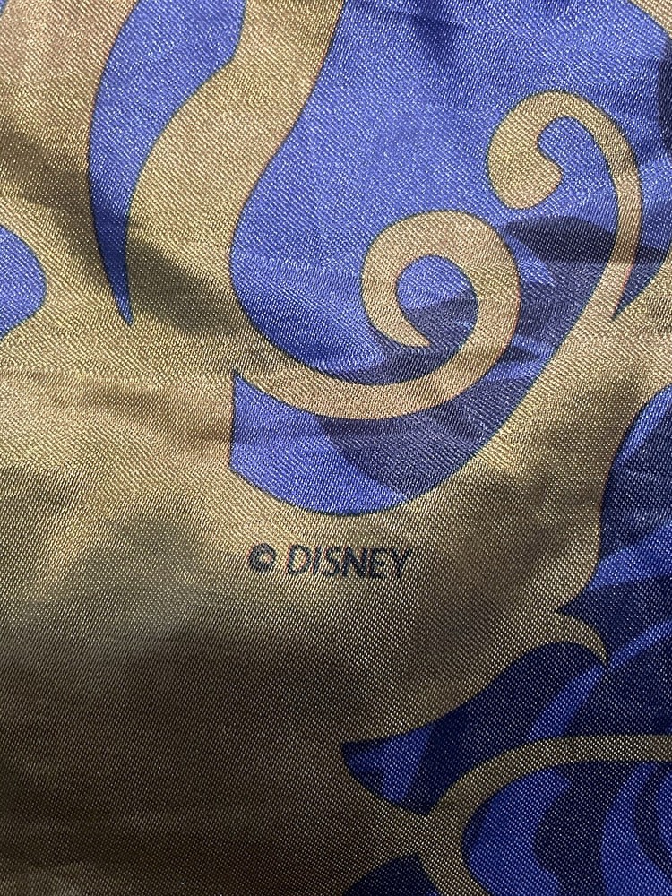 disney Princess sleeping bag with bag