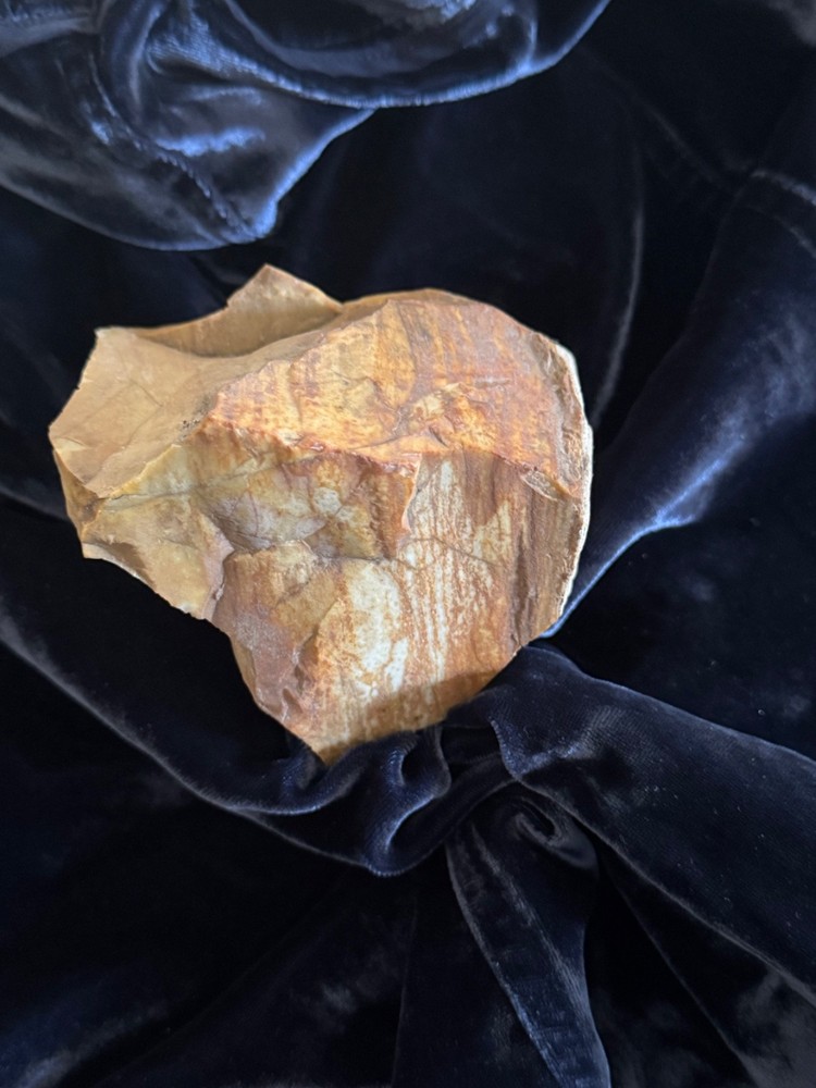 Petrified Wood