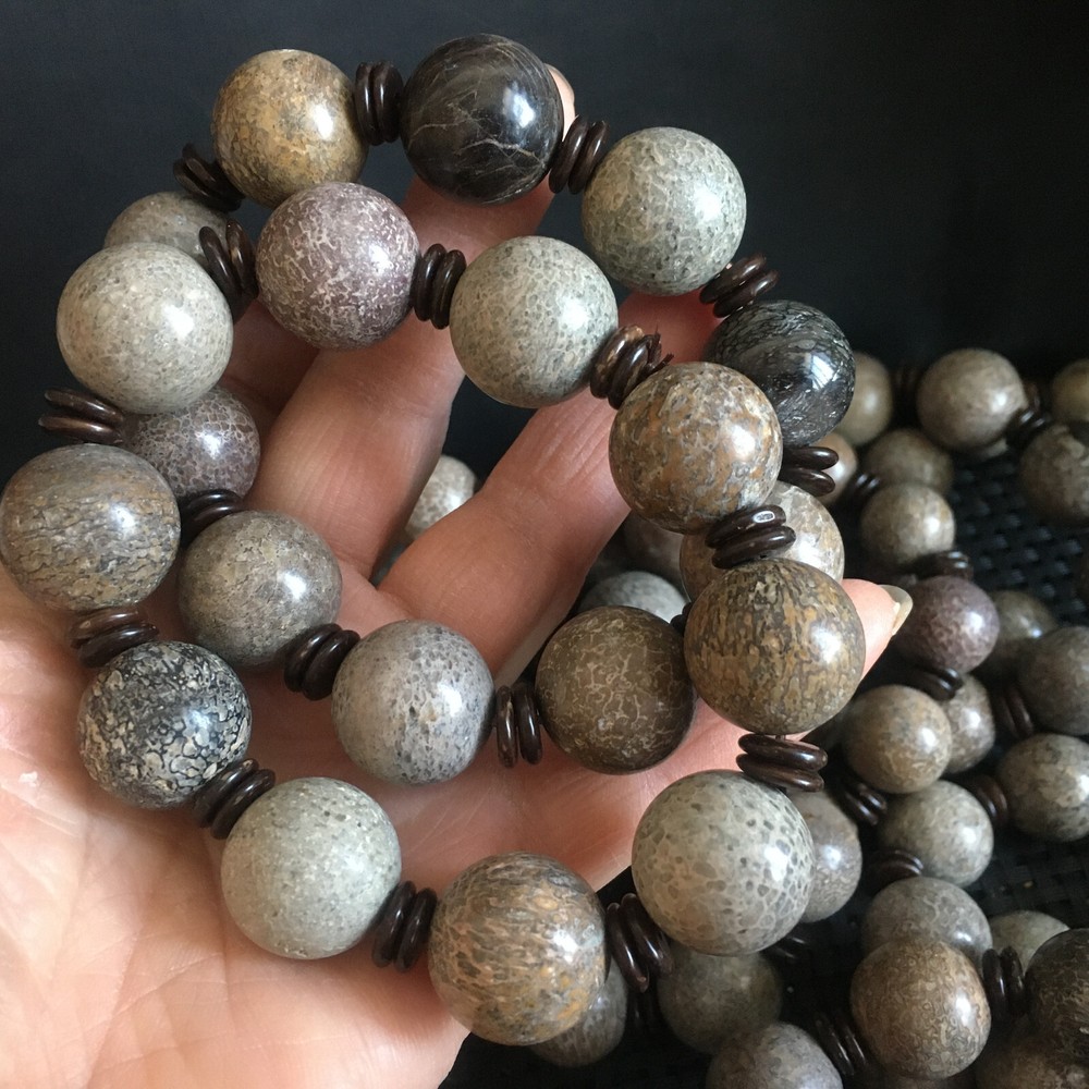 1pc Natural polished dinosaur bone bracelets