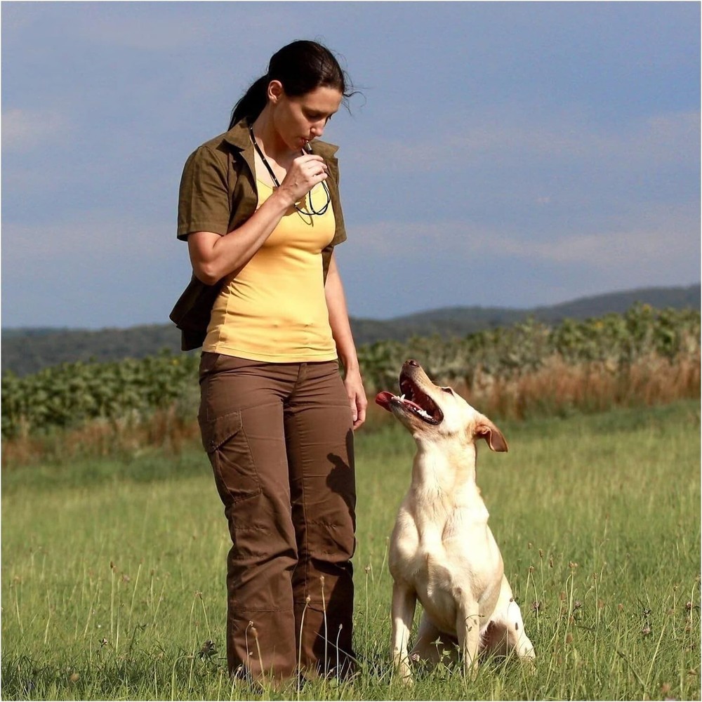 Adjustable Ultrasonic Dog Training Whistle - Silent and Effective Solution