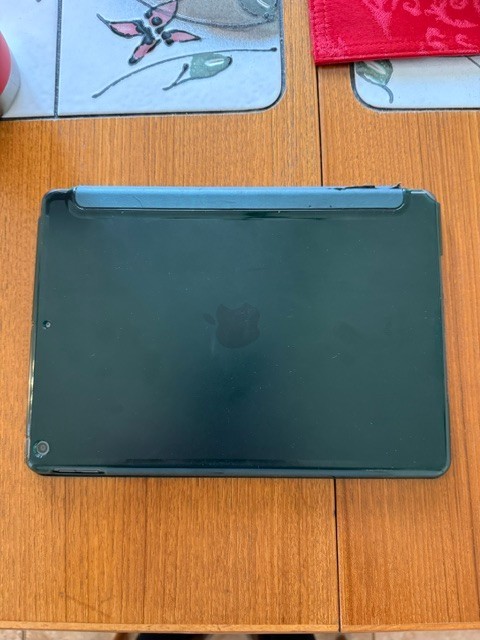 ipad 9th generation 64gb wifi includes ear buds, extra lighting cables and case