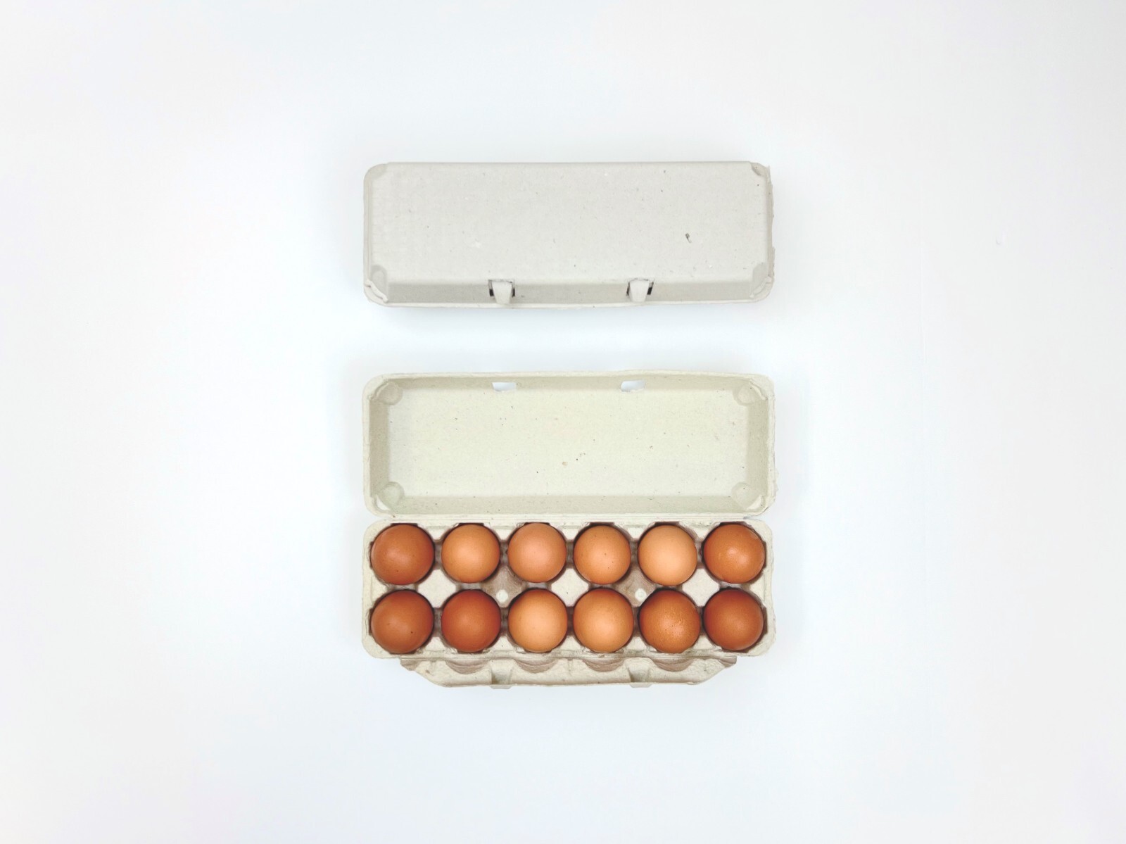 Non-Printed Egg Carton - 100 units