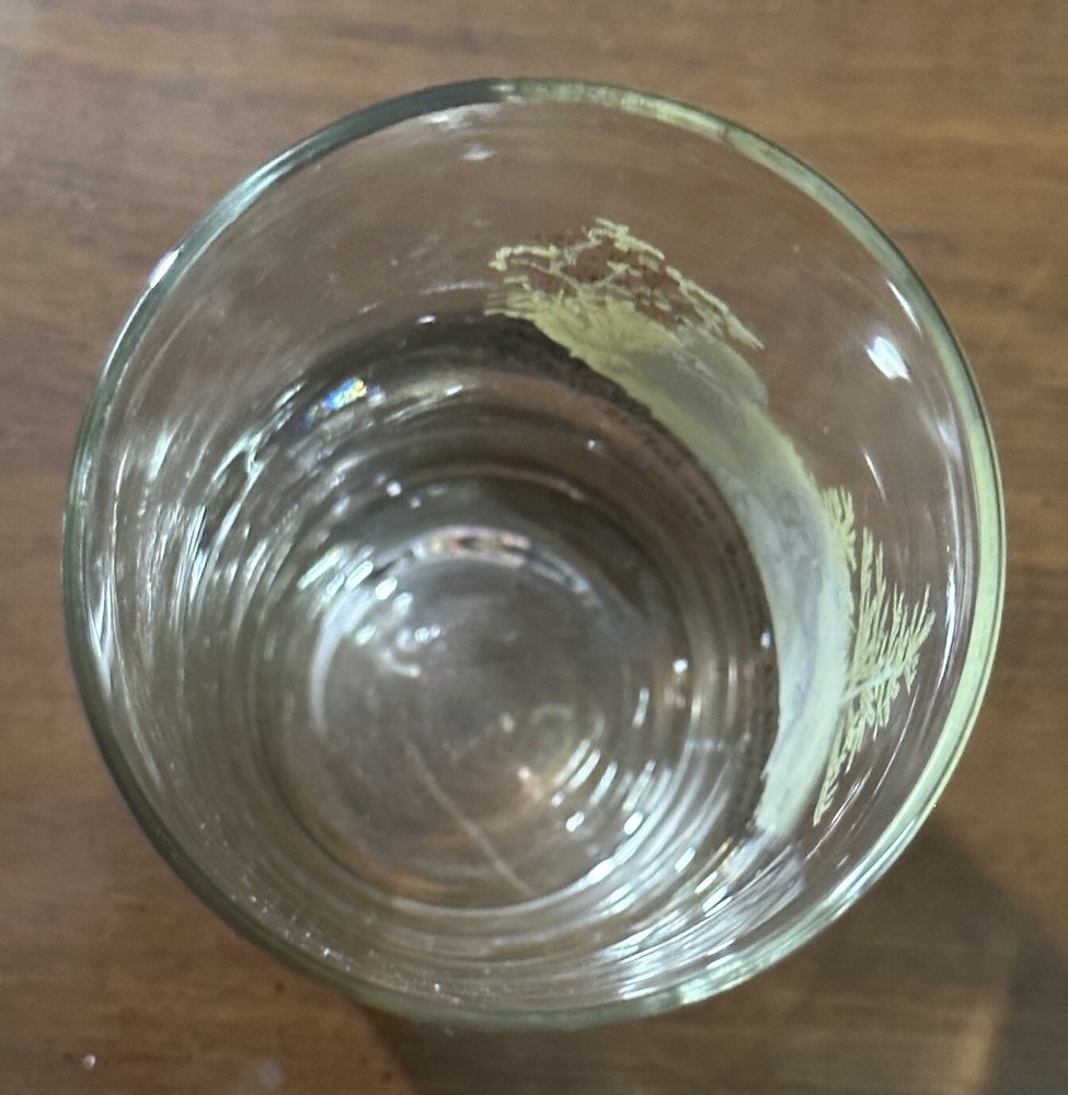 Holly Hobbie Tall Drinking Glasses