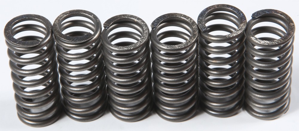 EBC CSK Clutch Spring Kit CSK210