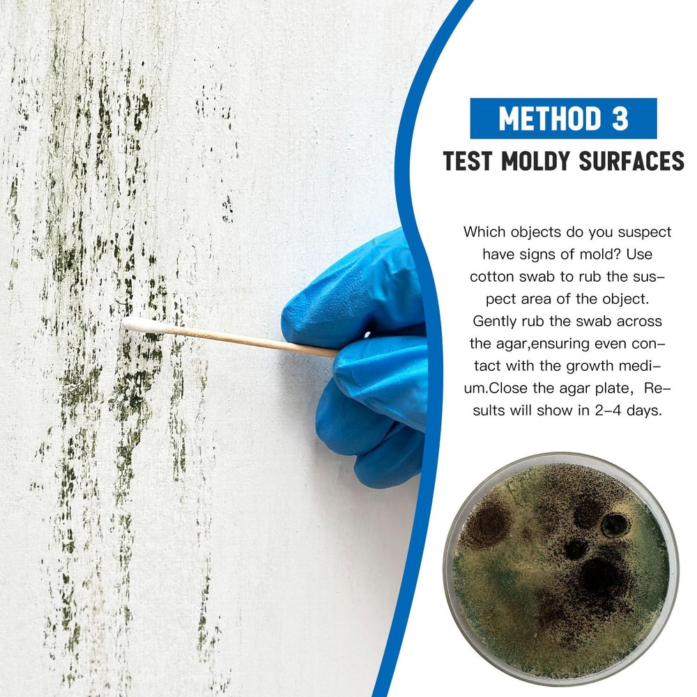 Home Mold Test Kit - 6 Tests, Black Mold Detector, Free Lab Analysis