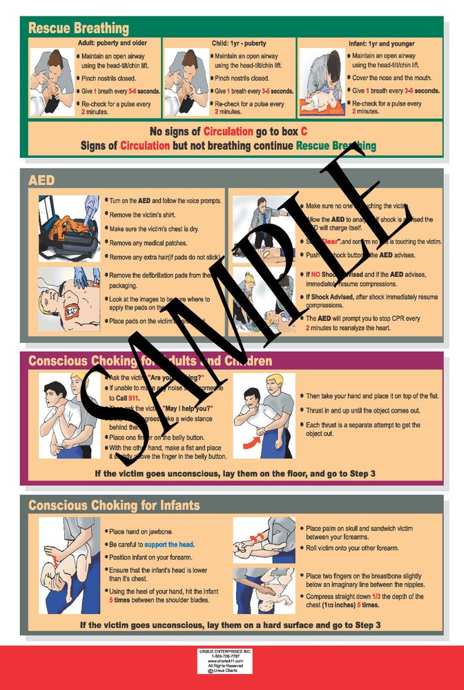 BLS CPR Reference Chart - Latest Guidelines