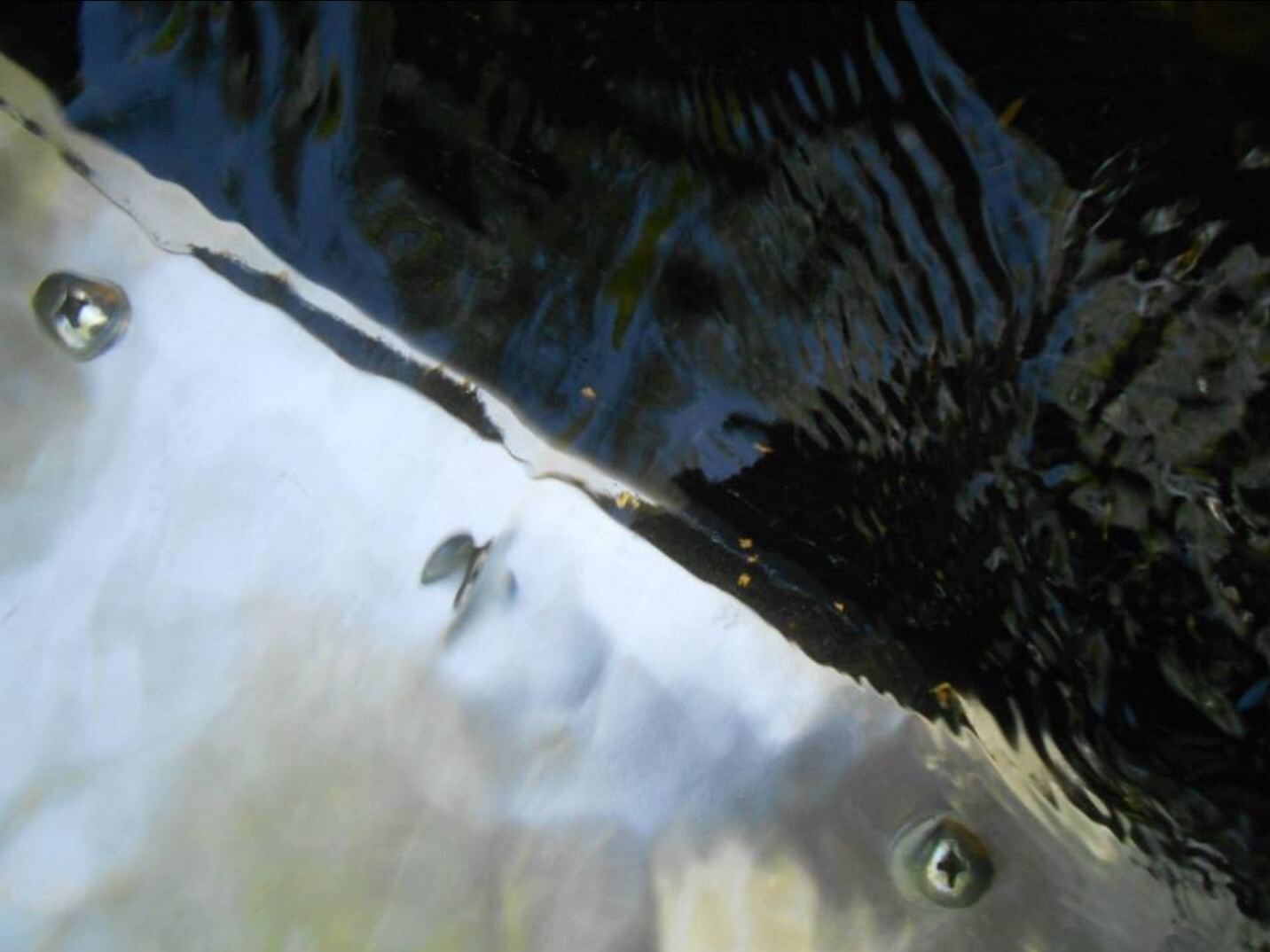 1LB Unsearched Chestatee River Gold Paydirt Fines Pickers Nuggets? Panning