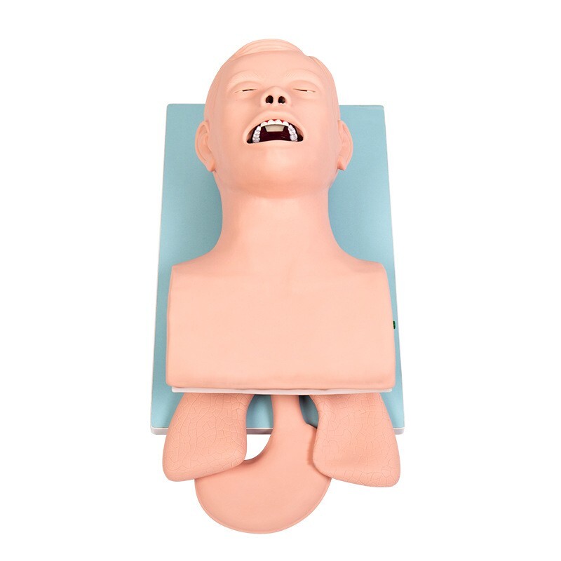 110V-220V Universal Tracheal Intubation Training Teaching Model with Indicator