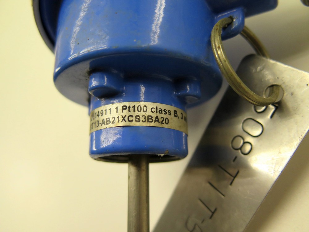 Endress + Hauser TST13-AB21XCS3BA20 Temperature Sensor
