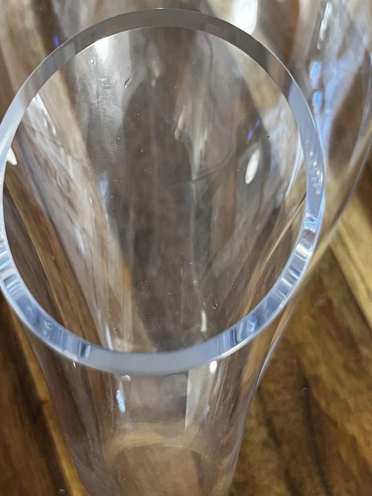 Riedel Decanter Double Spout 14" Goose Duck